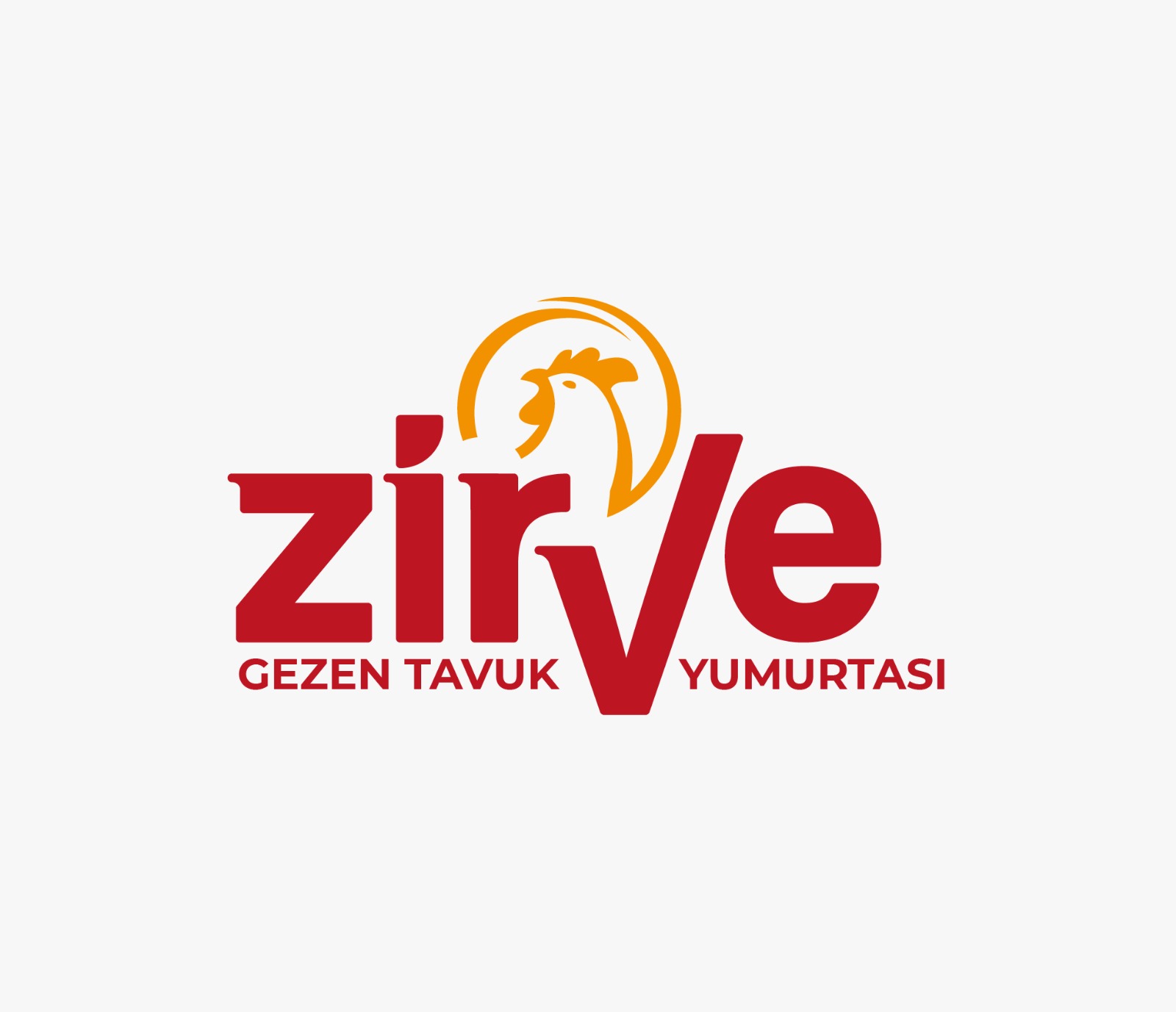 ZİRVE GEZEN TAVUK YUMURTASI